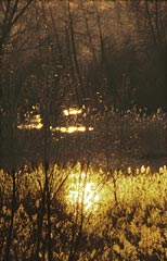 reflet du soleil dans un lac - photo G.Souche